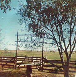 rd ranch